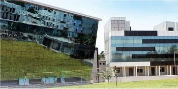 rathinam college